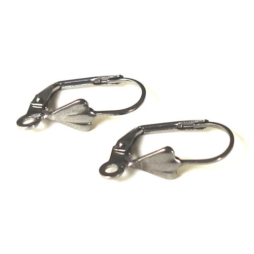 Coppia di orecchini colore Argento