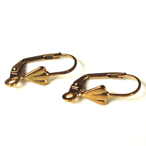 Coppia di orecchini colore Oro