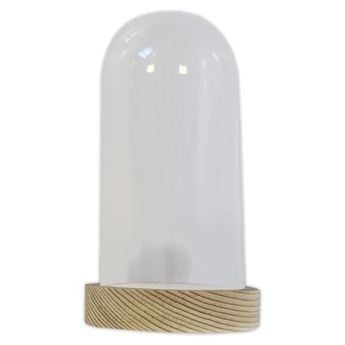 Cupola in plastica con base in legno cm 6 x 12