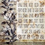 Deluxe & Vellum Dual Pack Typographic cm 15 x 15