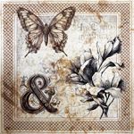 Deluxe & Vellum Dual Pack Typographic cm 15 x 15