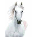 Diamond Dotz Imperial Stallion