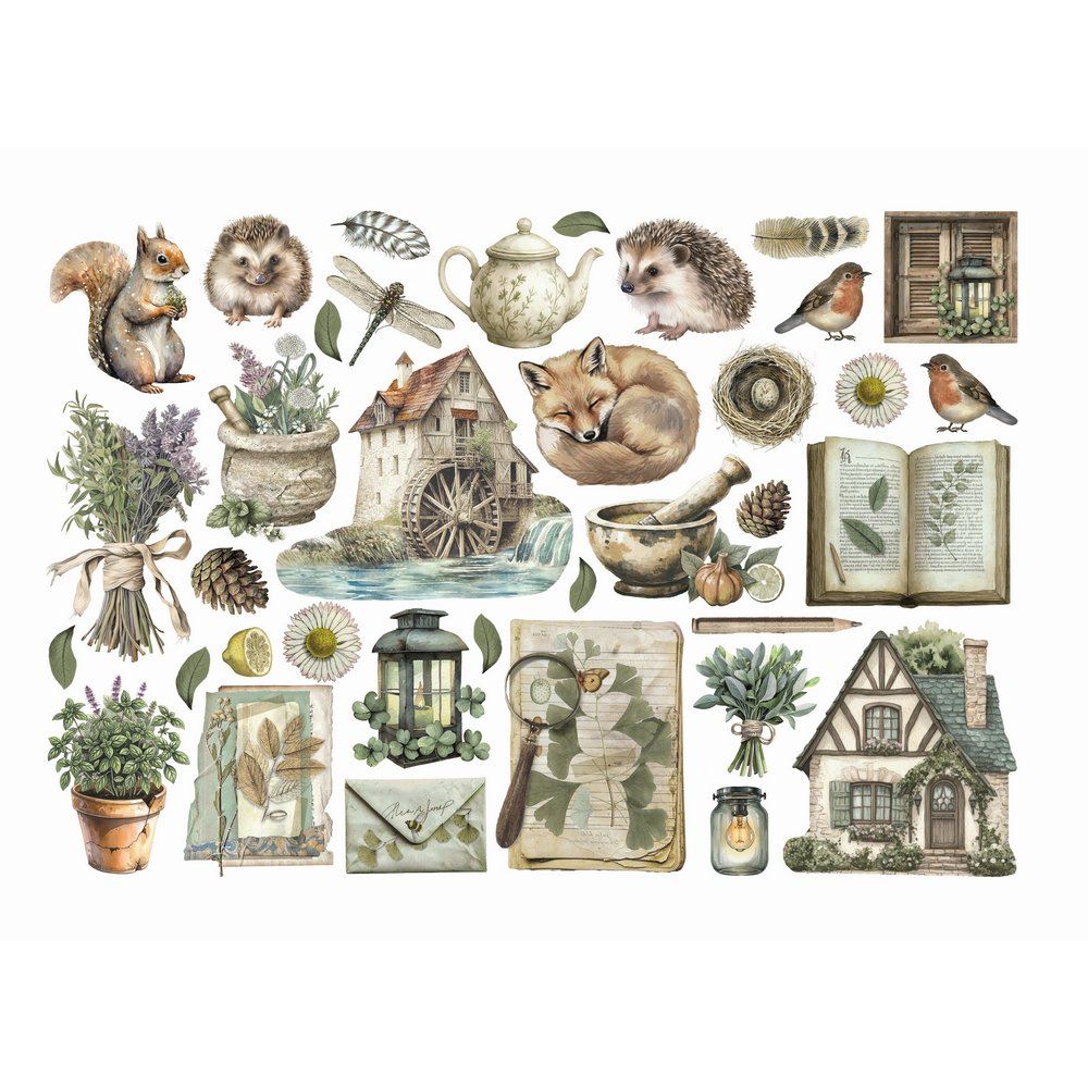 Ephemera Herbarium Silvae Stamperia