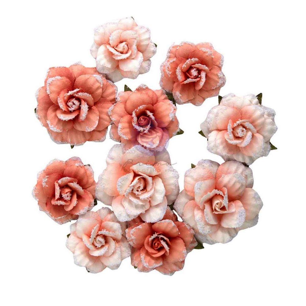 Fiori di Carta Homegrown Blush Harvest