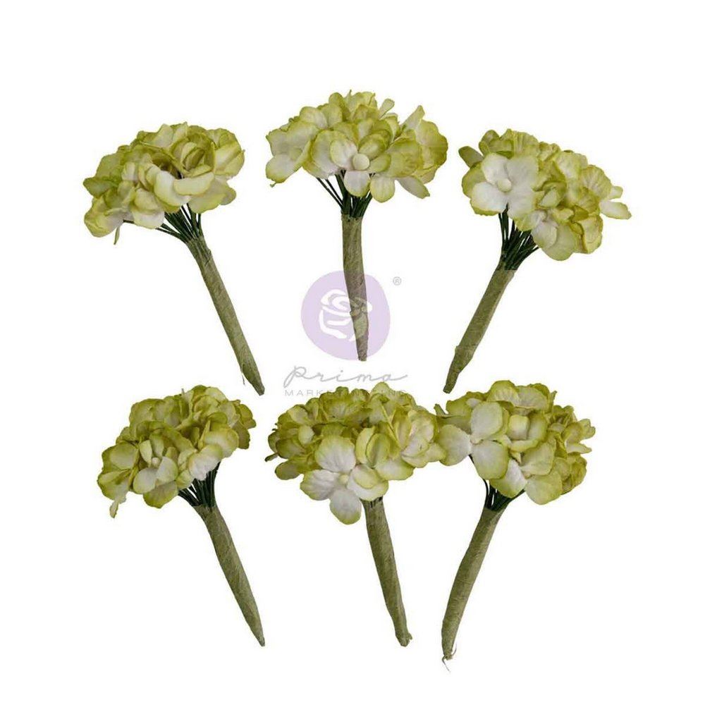 Fiori di Carta Homegrown Garden Hydrangea Mist