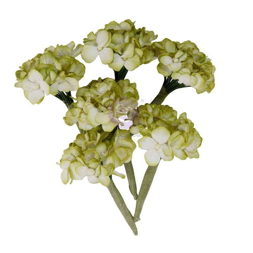 Fiori di Carta Homegrown Garden Hydrangea Mist