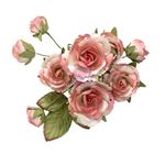 Fiori di Carta Homegrown Garden Rose Blush