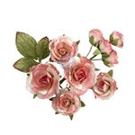 Fiori di Carta Homegrown Garden Rose Blush