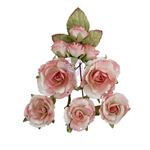 Fiori di Carta Homegrown Garden Rose Blush
