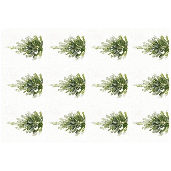 Fommy Deco' Soft Agrifoglio Talco Piccolo