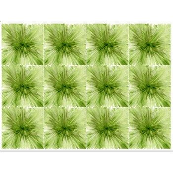 Fommy Deco' Soft Monet Verde Salvia Small