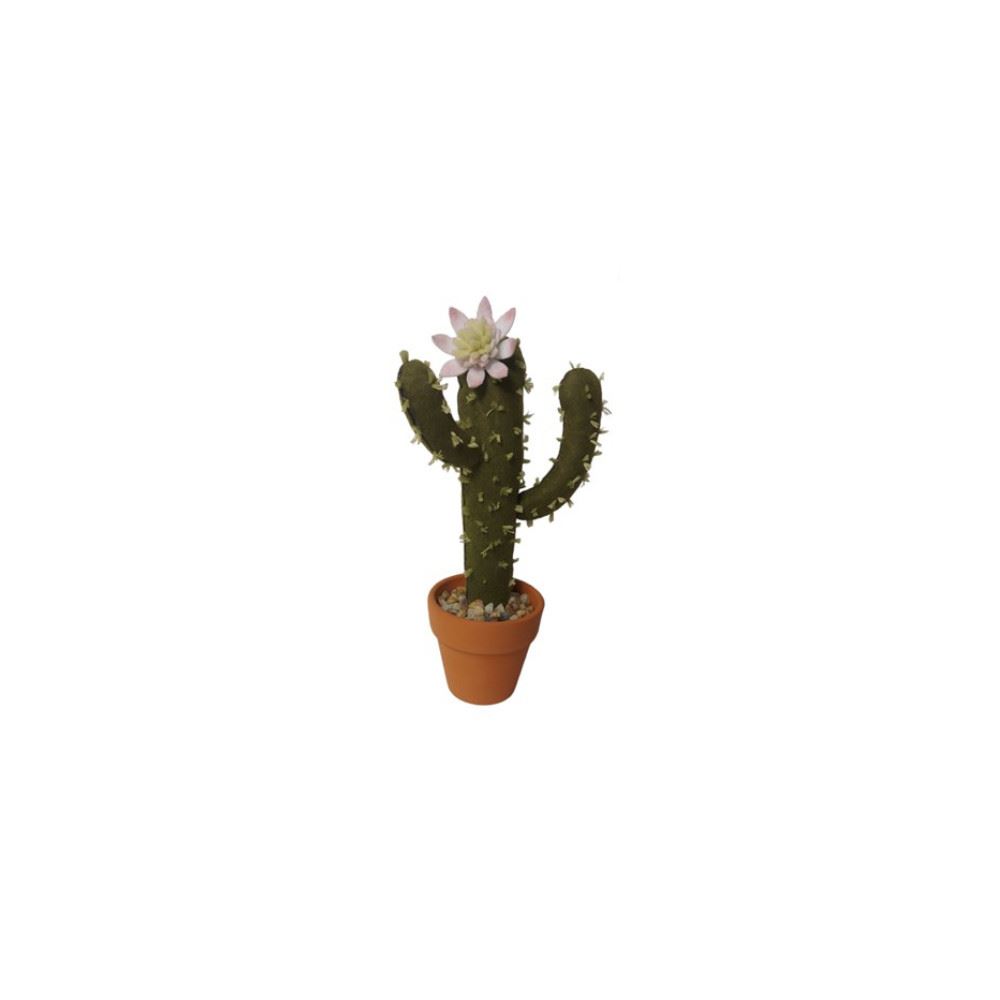 Formallegra Cactus braccia