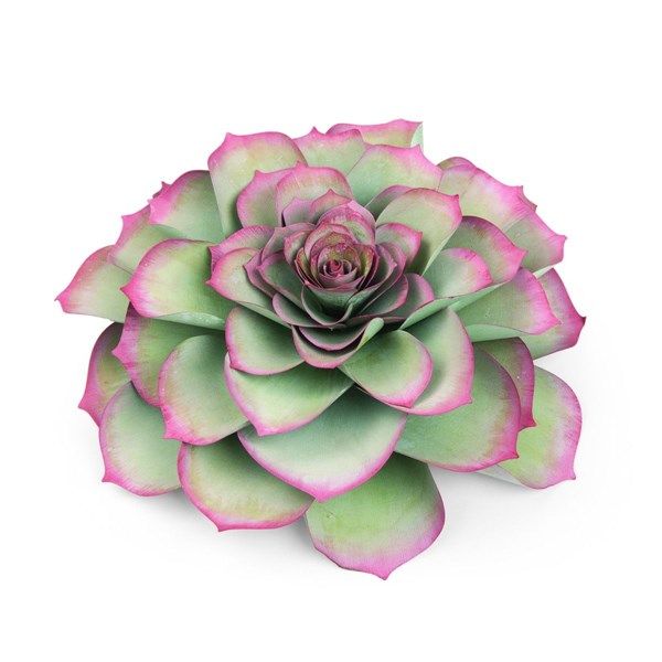 Framelits Large Succulent