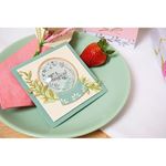 Framelits & Stamps Special Wishes