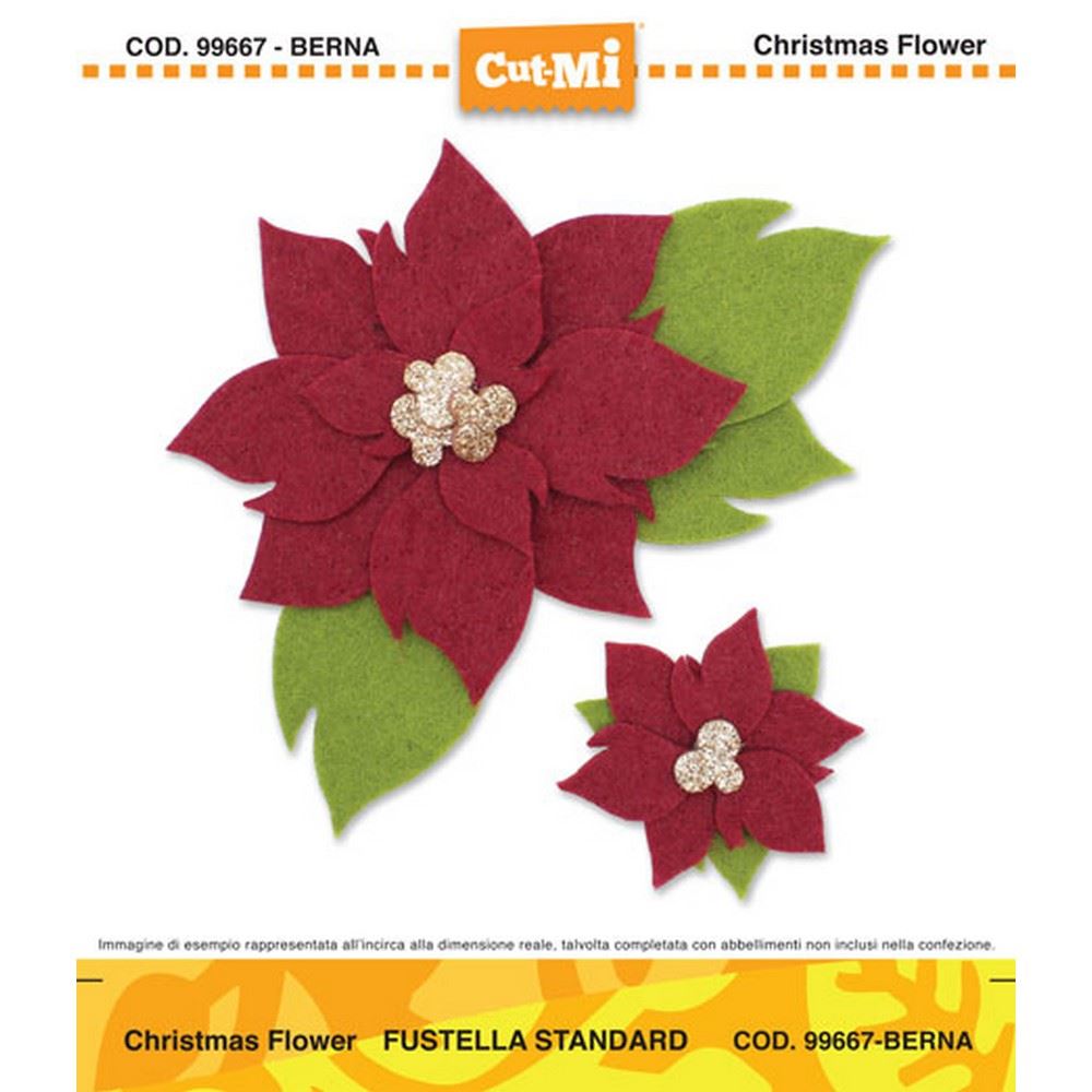Fustella Cut-Mi Christmas Flower