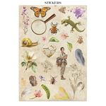 Junk journal & Card Making All Around