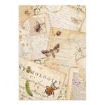 Junk journal & Card Making All Around