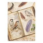 Junk journal & Card Making All Around A5