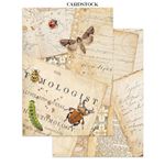Junk journal & Card Making All Around A5