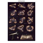 Junk journal & Card Making Cosmos