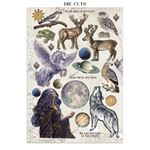 Junk journal & Card Making Cosmos
