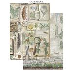 Junk journal & Card Making Herbarium Silvae