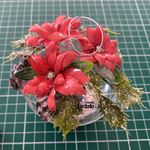 Kit Pallina in vetro con stelle di Natale rosse