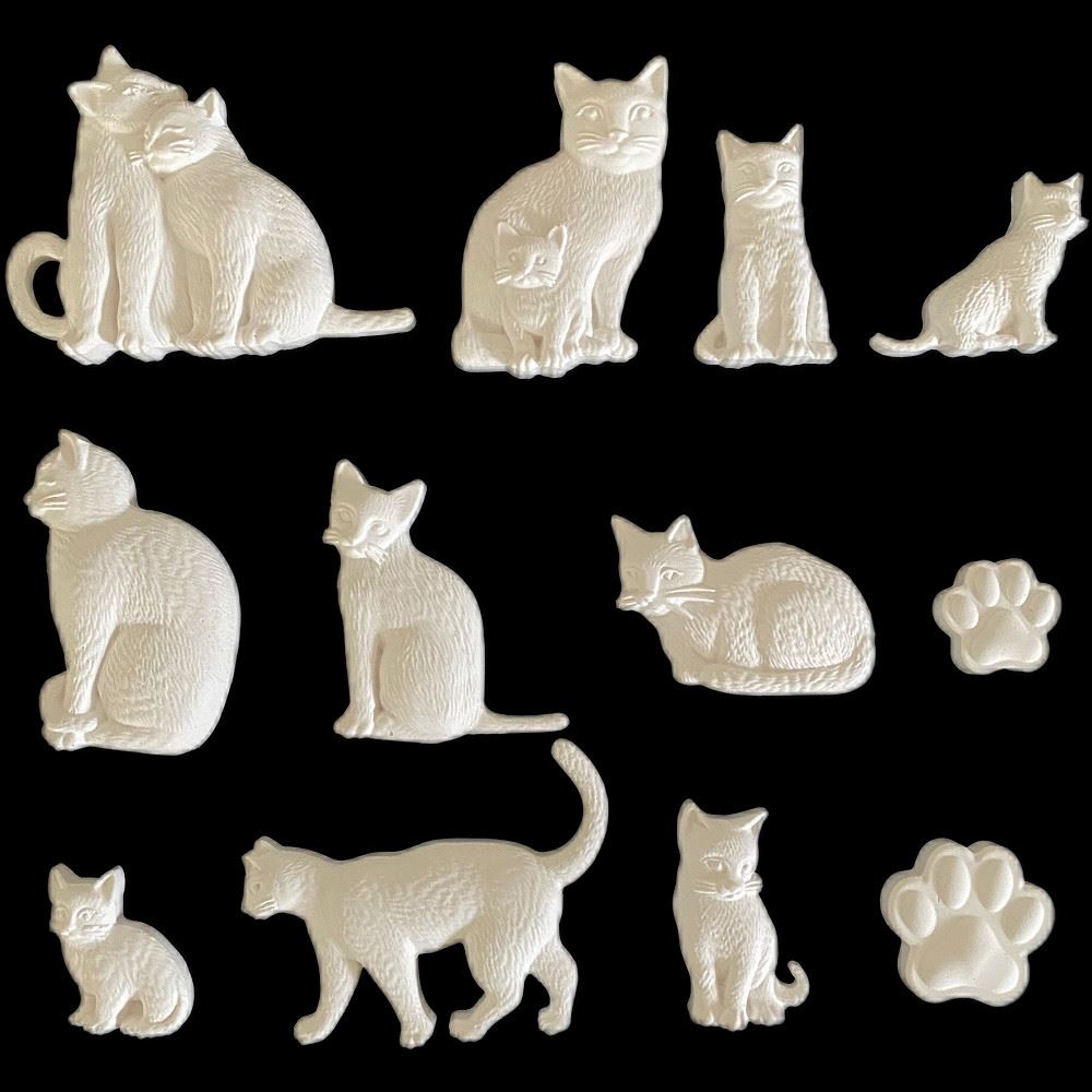Kit gessetti Gattini