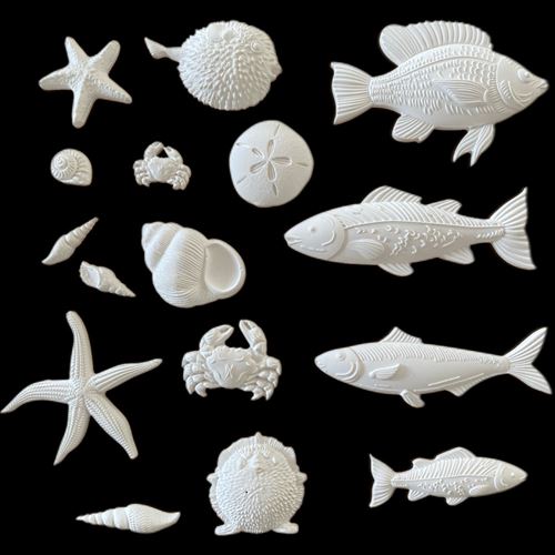 Kit gessetti Silent Sea Conchiglie e Pesci