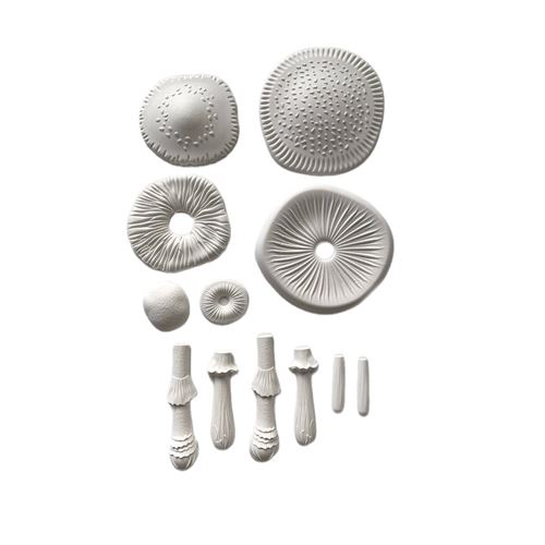 Kit gessetti Whispering Woods funghi 3D