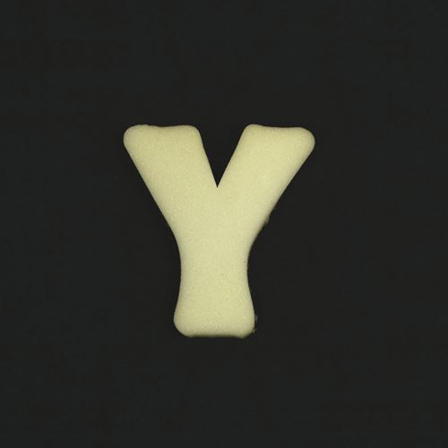 Lettera Y in spugna cm 10 h