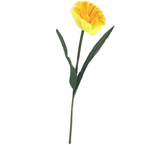 Narciso in Stelo con foglie