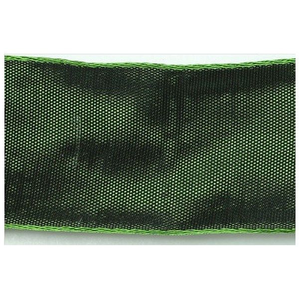 Nastro Animato colore Verde
