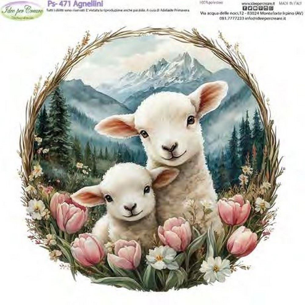 Pannolenci Agnellini