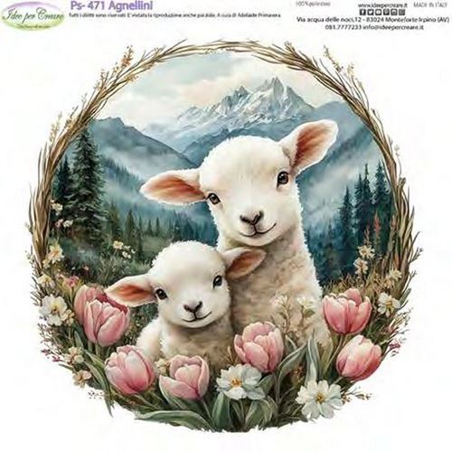 Pannolenci Agnellini