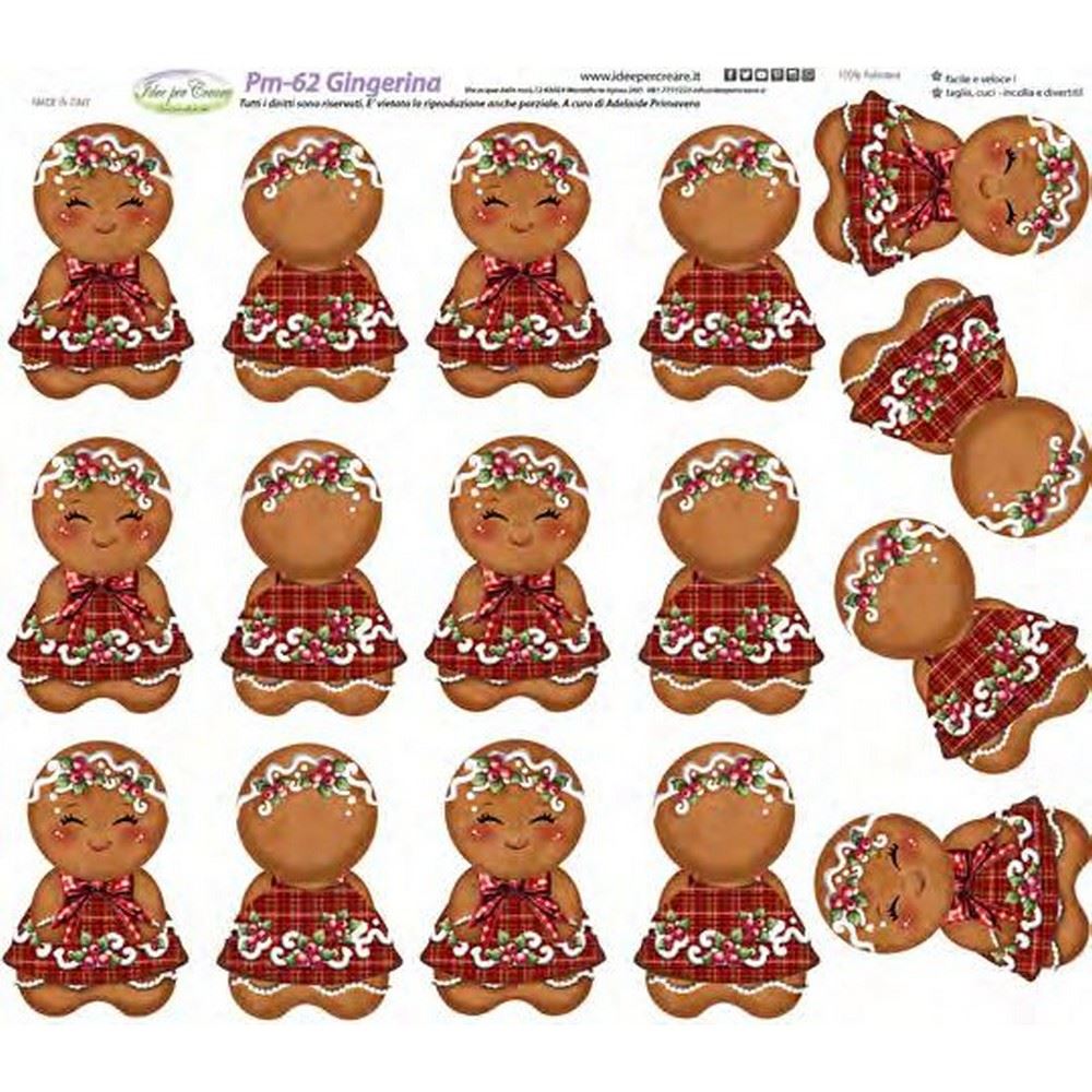 Pannolenci Stampato Gingerina