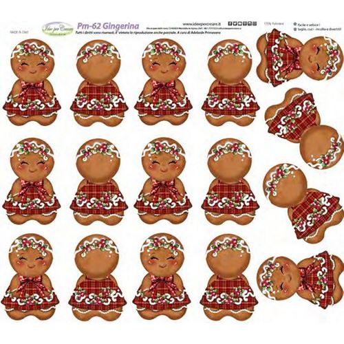Pannolenci Stampato Gingerina