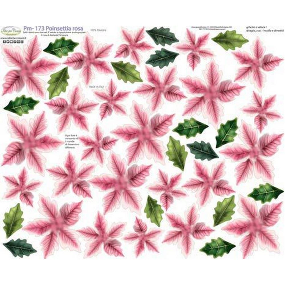 Pannolenci Stampato Poinsettia Rosa