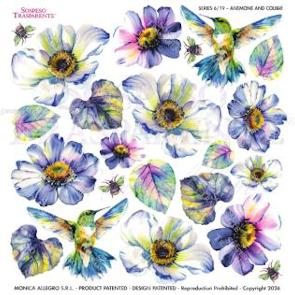 Pellicola Modellabile Anemone and Colibrì Serie 6