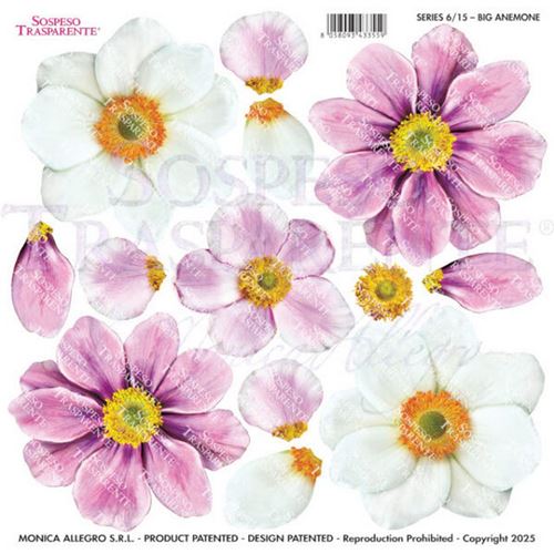 Pellicola Modellabile Big Anemone Serie 6