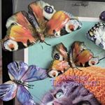 Pellicola Modellabile Big Butterfly Serie 6