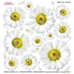 Pellicola Modellabile Big Daisy Serie 3