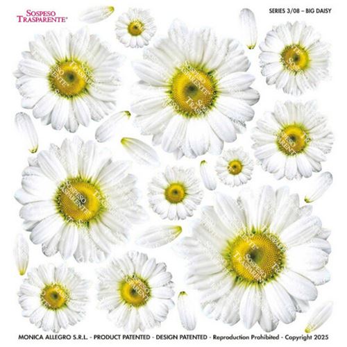 Pellicola Modellabile Big Daisy Serie 3