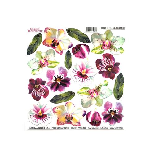 Pellicola Modellabile Color Orchid Serie 1