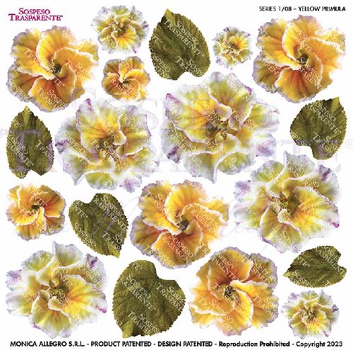 Pellicola Modellabile Doppia Yellow Primula e Primula Sirocco Serie 1/08B