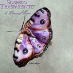 Pellicola Modellabile Double Jewel New Butterfly