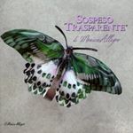 Pellicola Modellabile Double Jewel New Butterfly