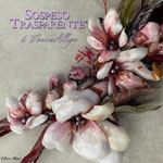 Pellicola Modellabile Double New Vintage Cherry