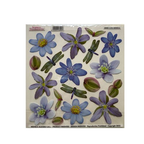 Pellicola Modellabile Hepatica Serie 2