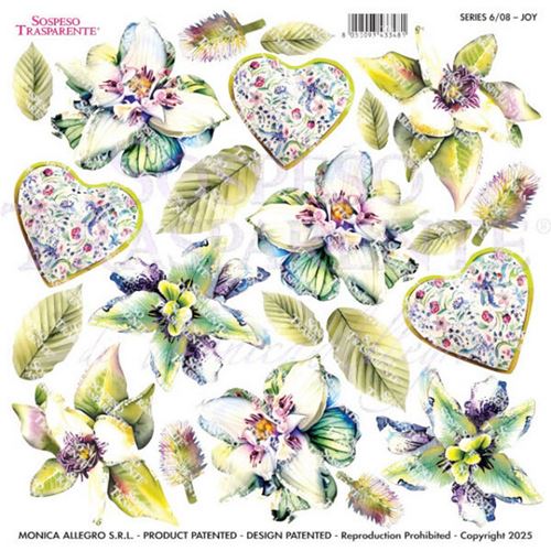 Pellicola Modellabile Joy Serie 6